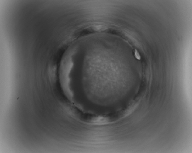 X0000115510319200911131346