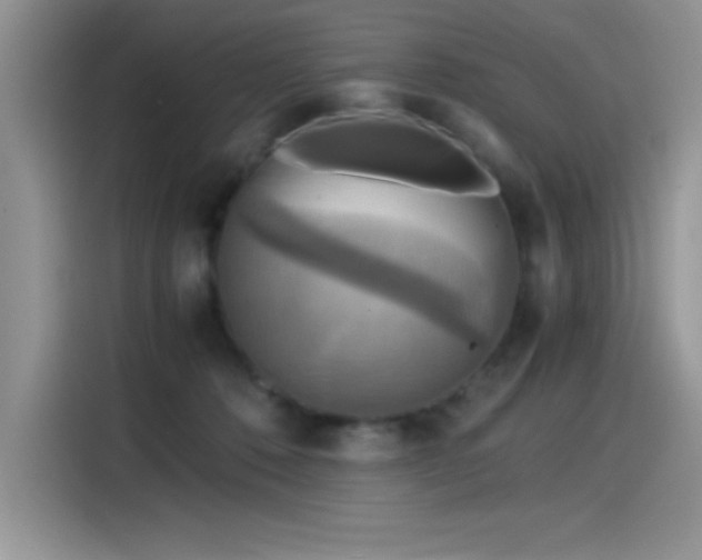 X0000115510320200911131346