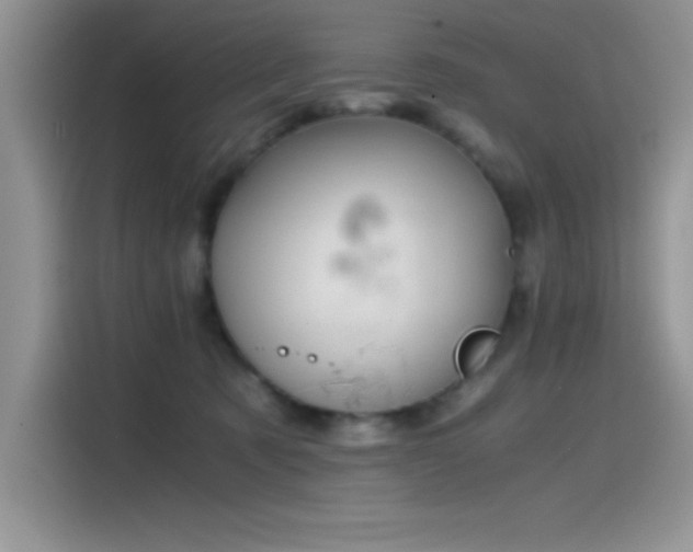 X0000115510321200911131346