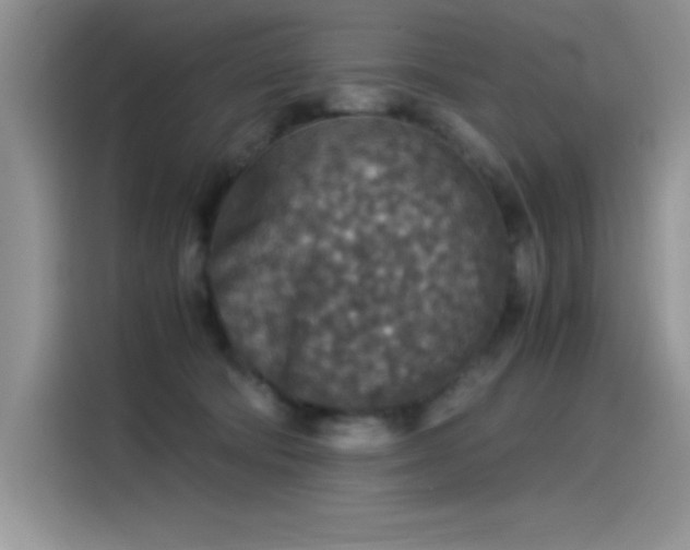 X0000115510322200911131346