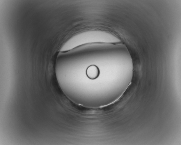 X0000115510323200911131346