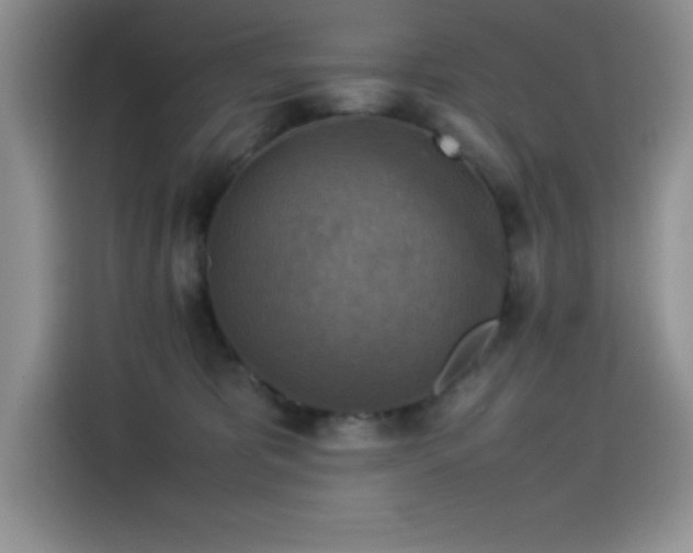 X0000115510325200911131346