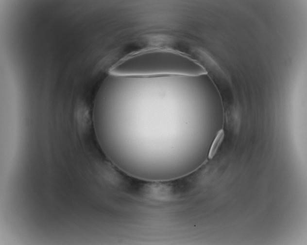 X0000115510327200911131346