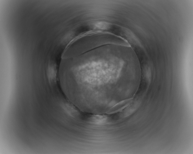 X0000115510328200911131346