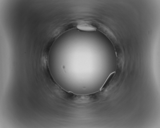 X0000115510329200911131346