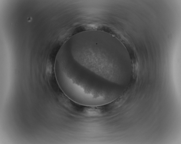 X0000115510331200911131346