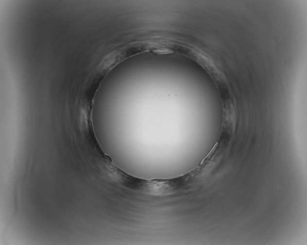 X0000115510333200911131346