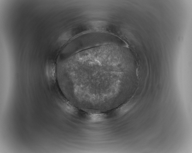 X0000115510336200911131346