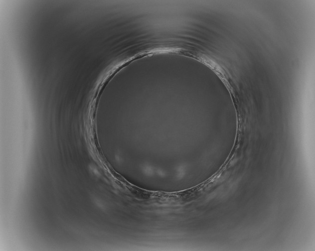 X0000115510337200911131345