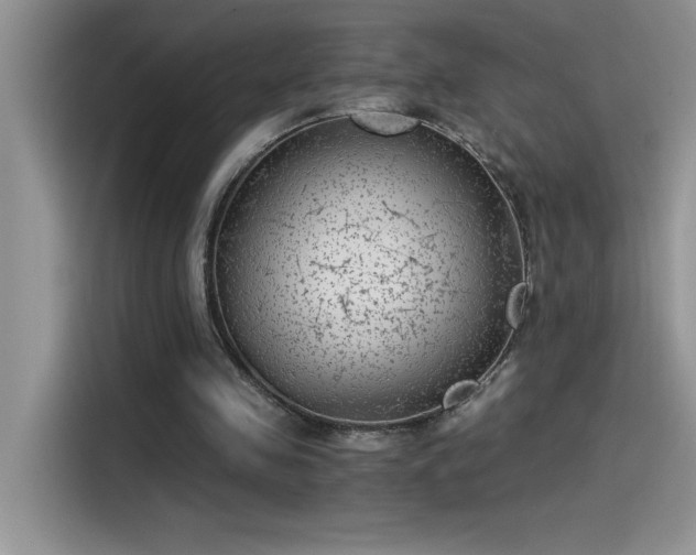 X0000115510341200911131345