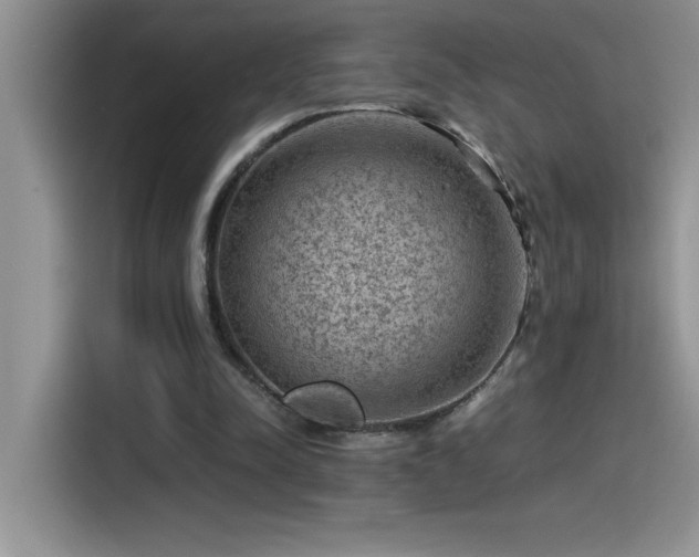 X0000115510342200911131345