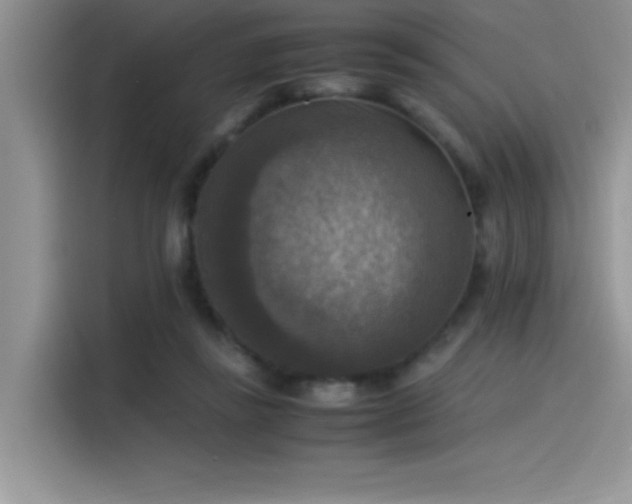 X0000115510355200911131345