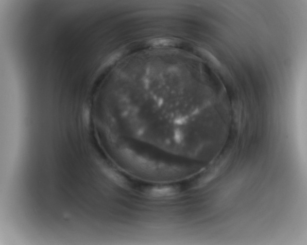 X0000115510357200911131345