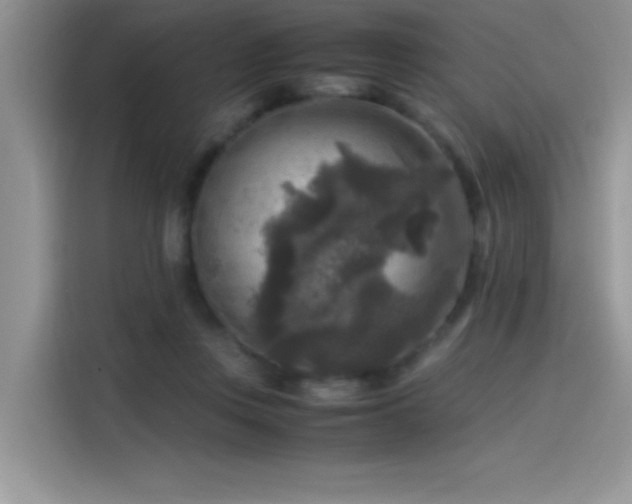 X0000115510359200911131345