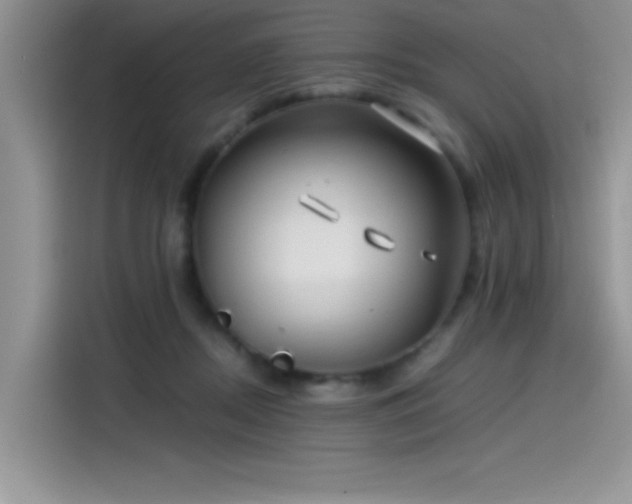 X0000115510362200911131345