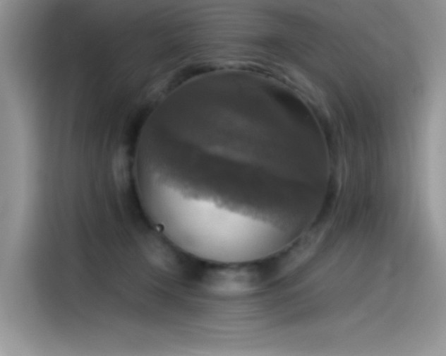 X0000115510366200911131345