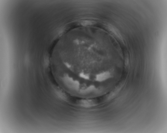 X0000115510367200911131346