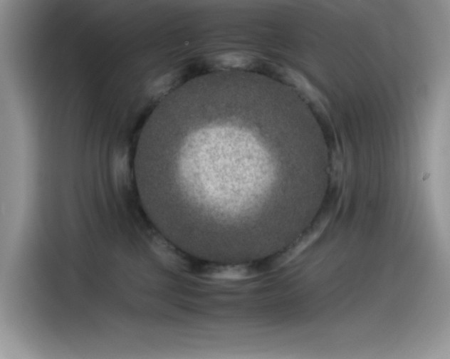 X0000115510377200911131346