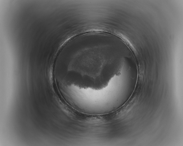 X0000115510386200911131345