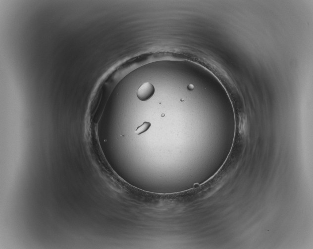 X0000115510388200911131345