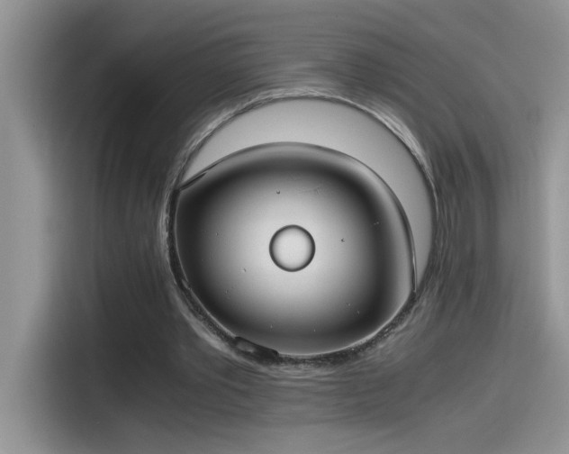 X0000115510389200911131345