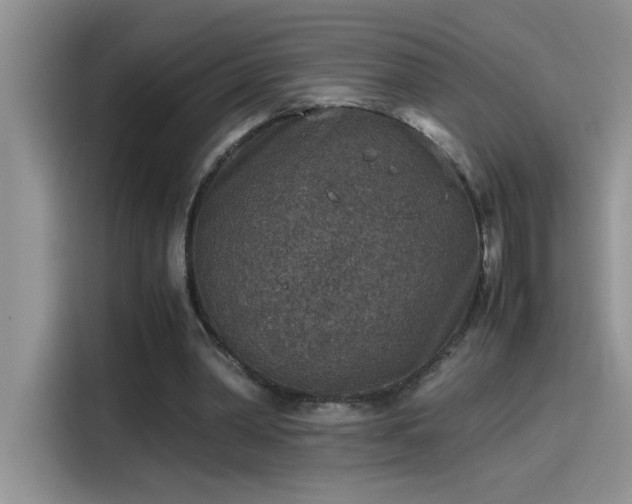 X0000115510390200911131345