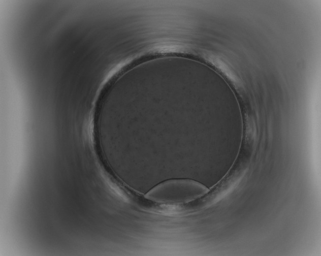 X0000115510391200911131345