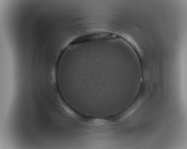 X0000115510393200911131345