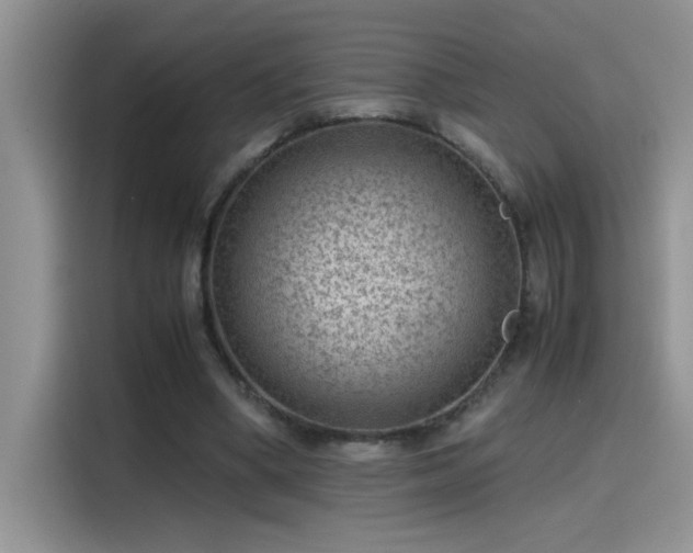 X0000115510394200911131345