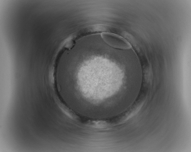 X0000115510395200911131345