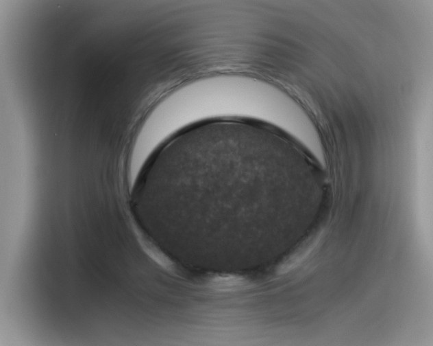 X0000115510397200911131345