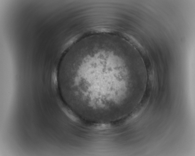 X0000115510398200911131345