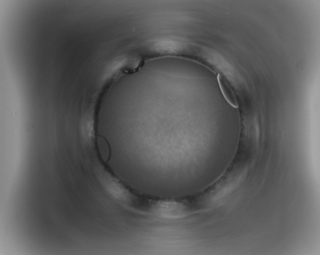 X0000115510399200911131345