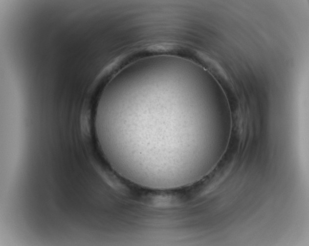 X0000115510400200911131345