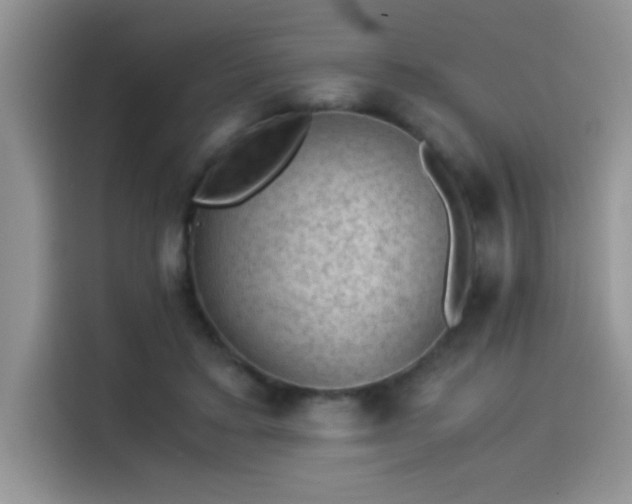 X0000115510403200911131345