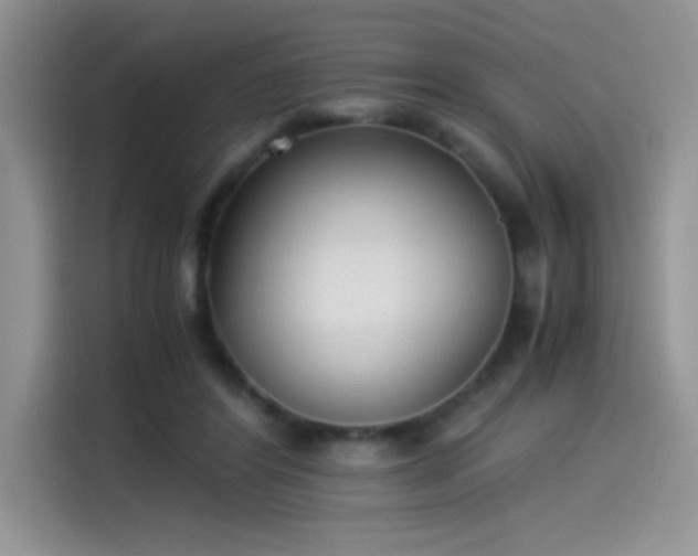 X0000115510404200911131345