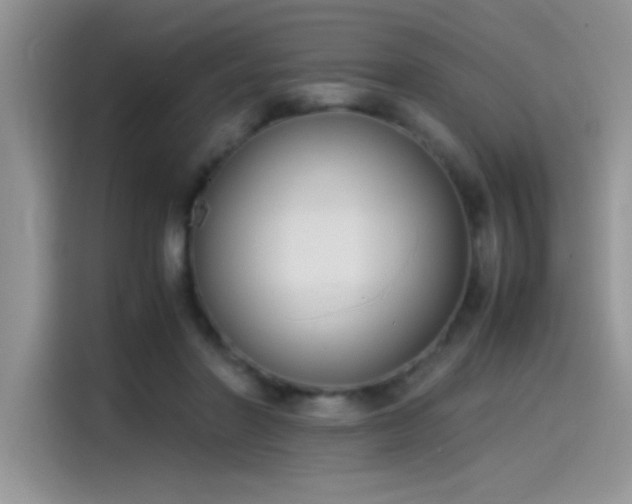 X0000115510406200911131345