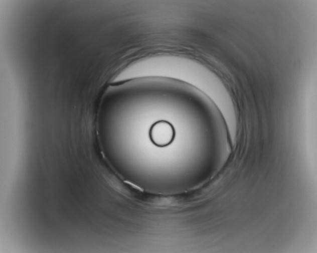 X0000115510409200911131345