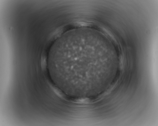 X0000115510410200911131345