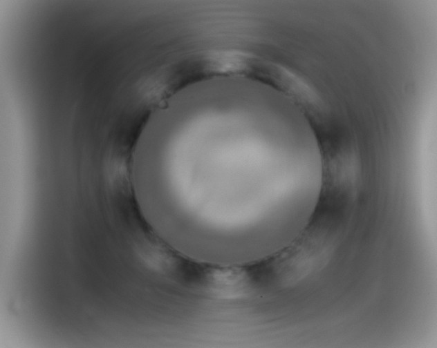 X0000115510415200911131345