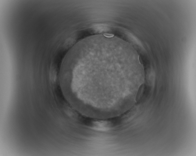 X0000115510417200911131345