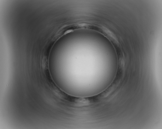 X0000115510421200911131345