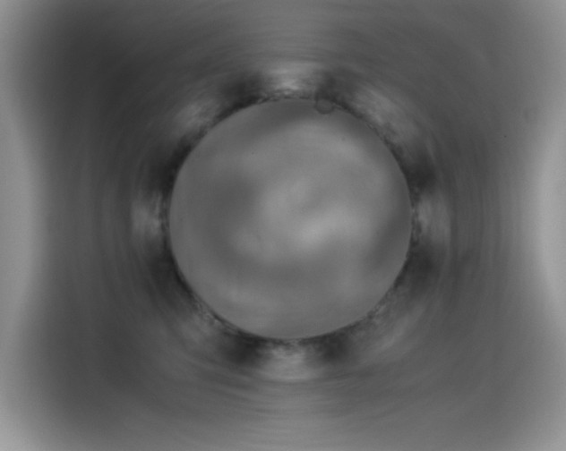 X0000115510423200911131345