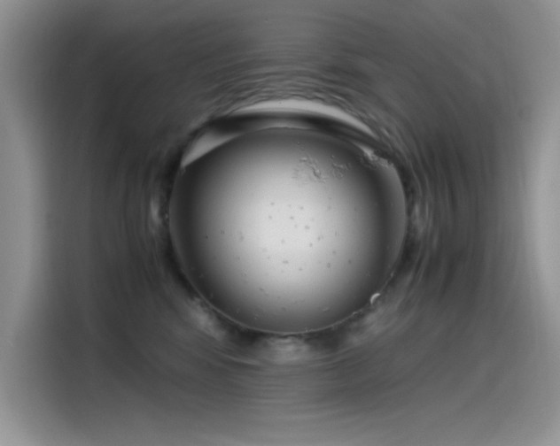 X0000115510424200911131345