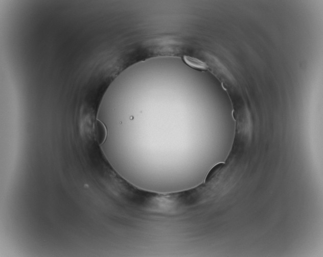 X0000115510425200911131345