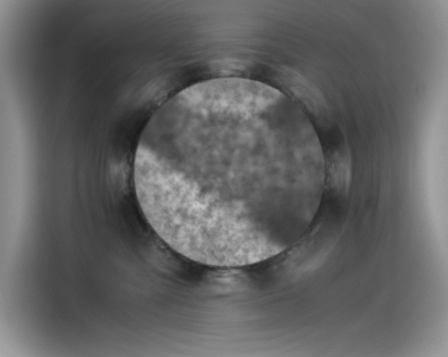 X0000115510427200911131345