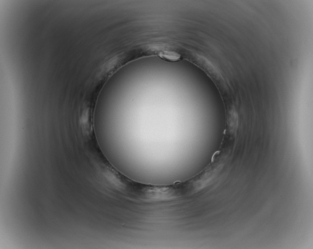 X0000115510428200911131345