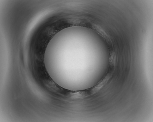 X0000115510430200911131345