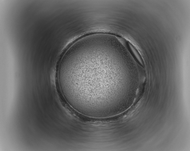 X0000115510434200911131344