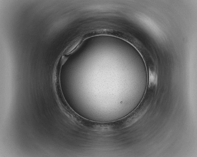 X0000115510435200911131344